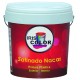 Pintura Plastica satinada NACAR 14LT