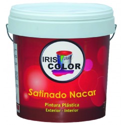 Pintura Plastica satinada NACAR 14LT