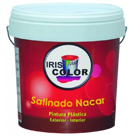 Pintura Plastica satinada NACAR 14LT