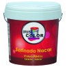 Pintura Plastica satinada NACAR 14LT