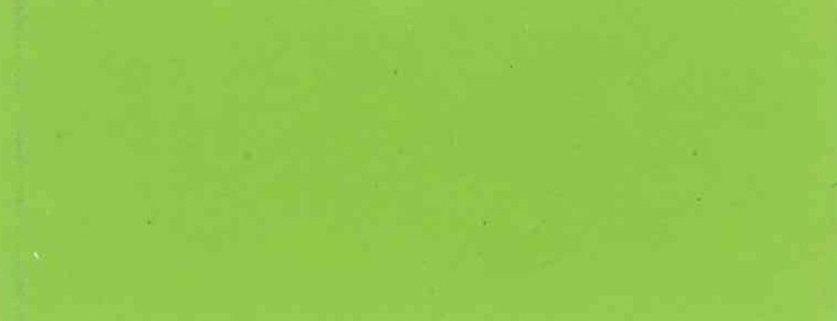 VERDE MENTA 9025